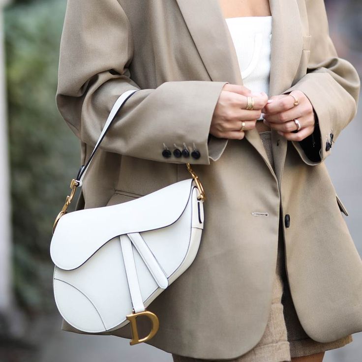 Dior Saddle Bag