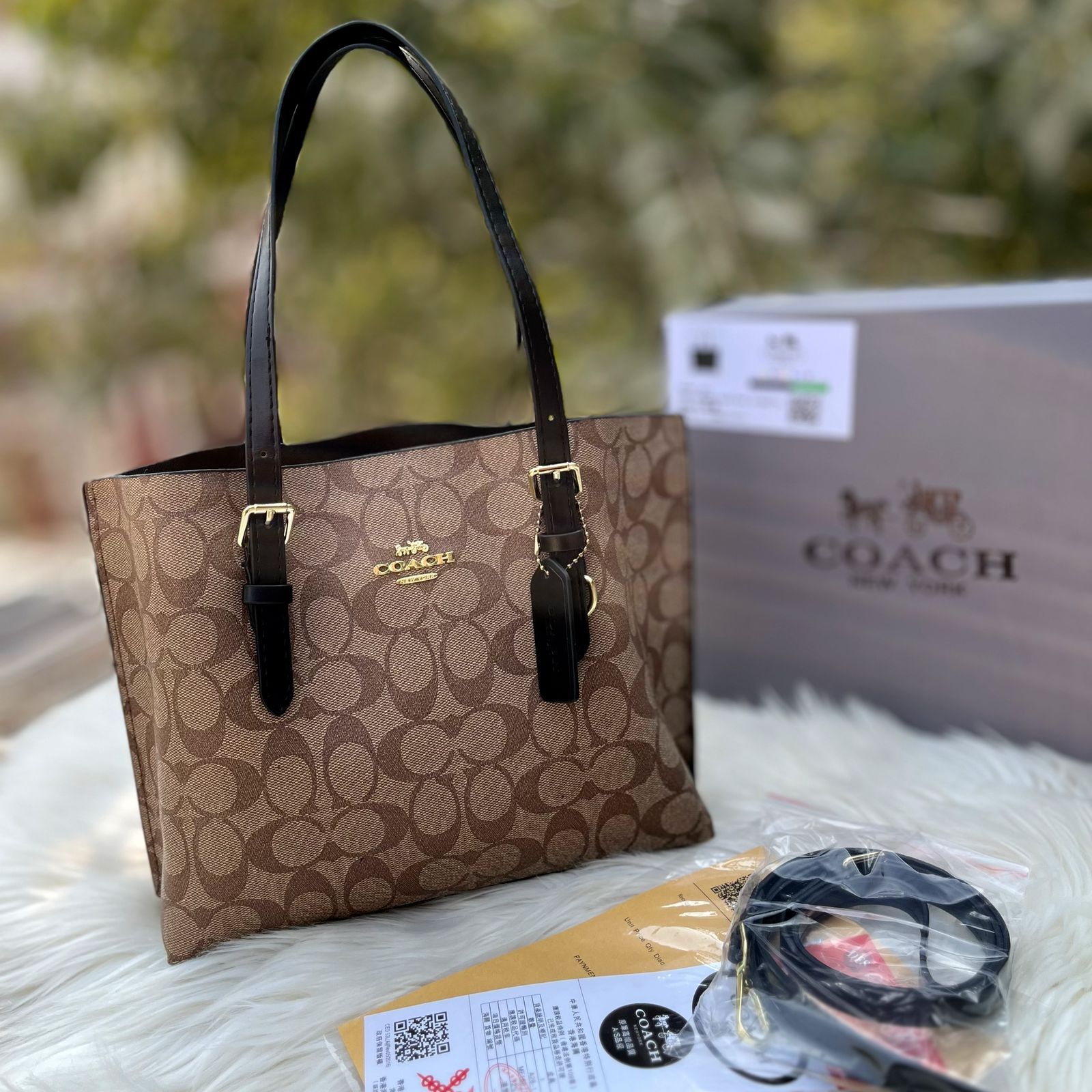 Coach Mollie Medium Tote 25 -Signature Canvas