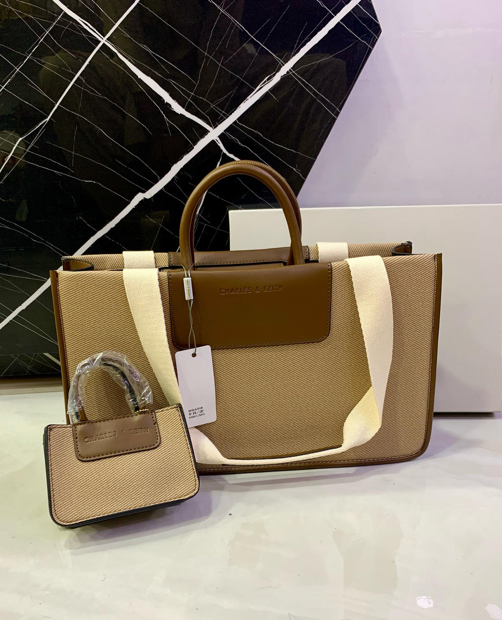 Charles & Keith Astra Canvas Bag
