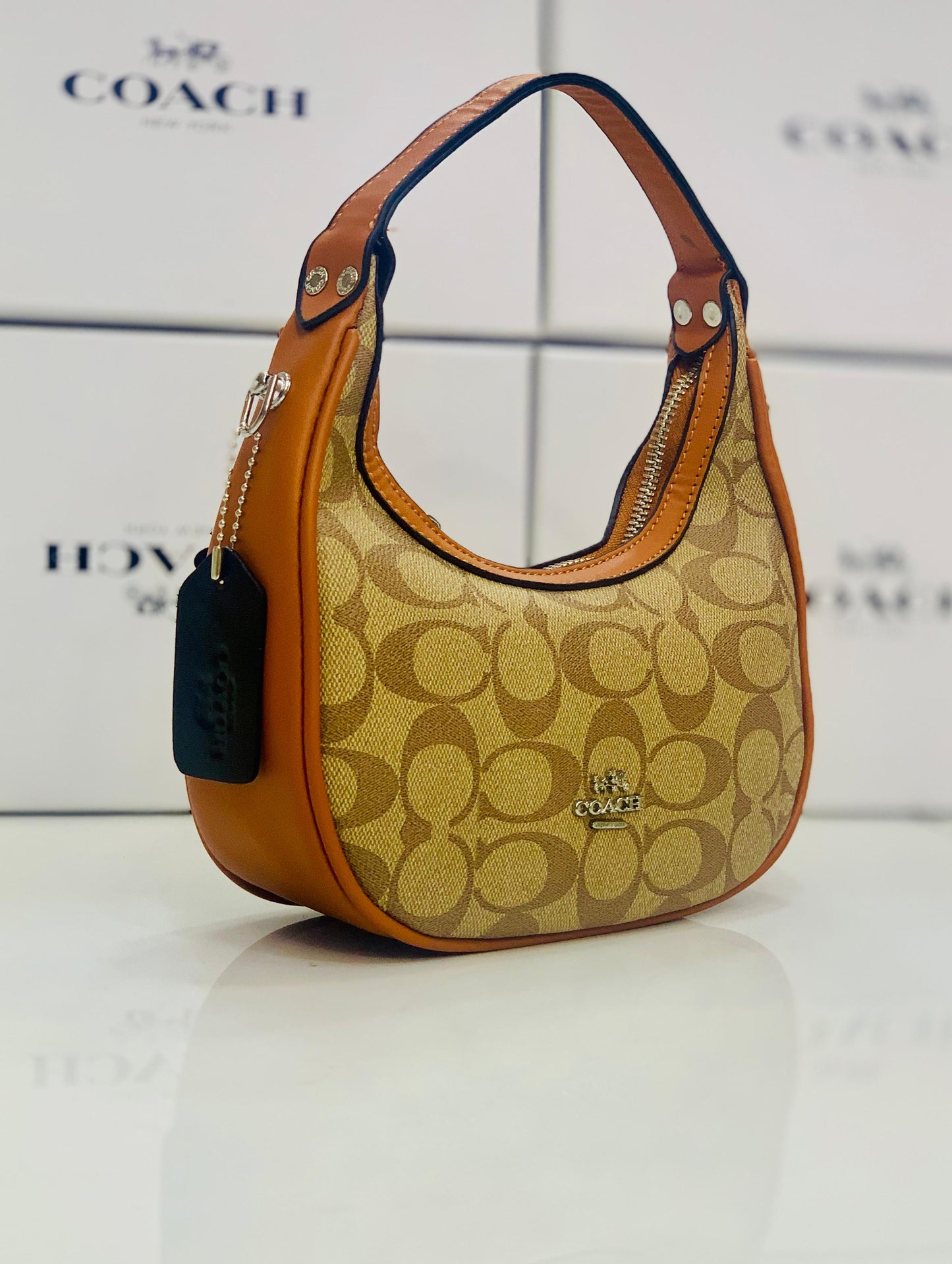 Coach Hobo Bag