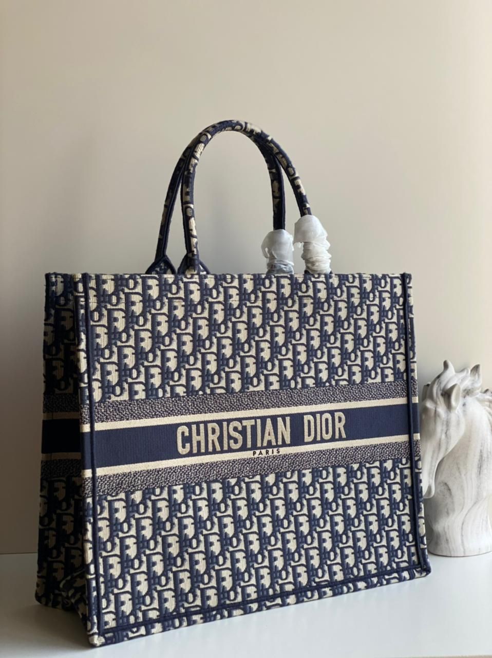 Chris Dior Tote Book Bag
