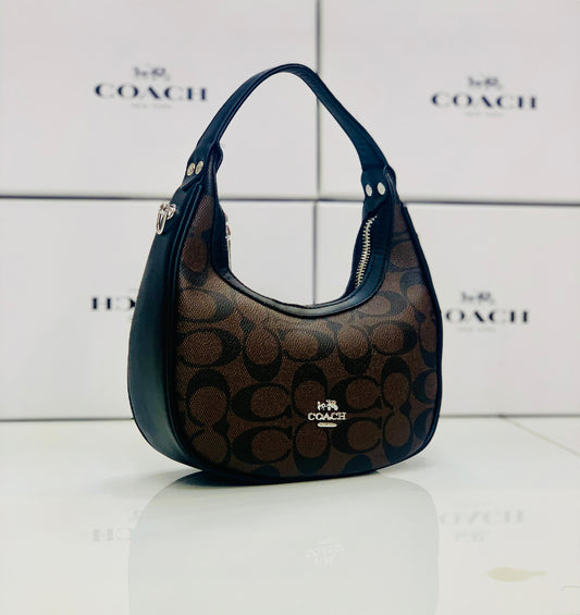 Coach Hobo Bag